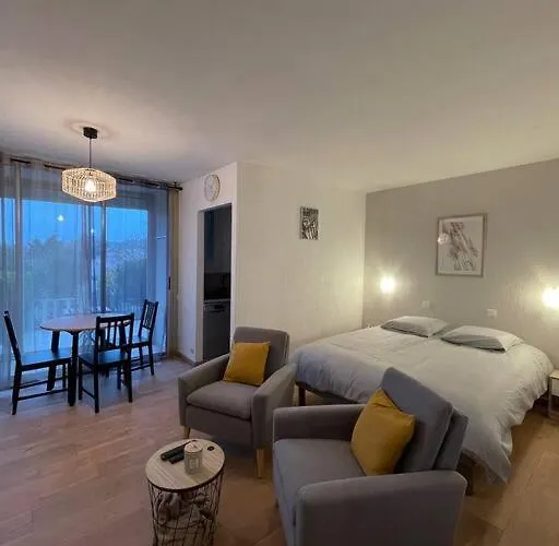 Le Belleviste - Studio équipé, Wifi, Parking Hotel *